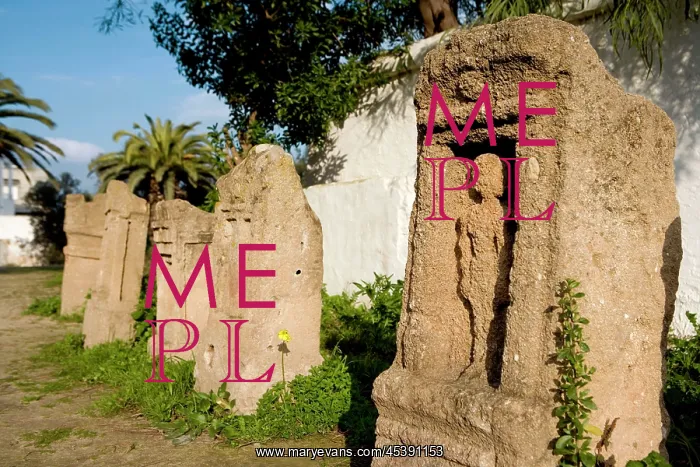 : Carthage. Low angle view of commemorative stelae in the Tophet : Carthage. Low angle view of commemorative stelae in the Tophet