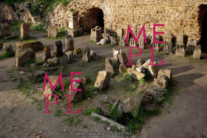 : Carthage. High angle view of the Tophet (children's graveyard) : Carthage. High angle view of the Tophet (children's graveyard)