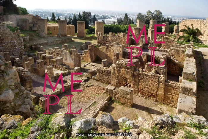 : Carthage. High angle view of Punic houses on Byrsa Hill : Carthage. High angle view of Punic houses on Byrsa Hill