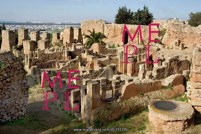 : Carthage. General view of Punic houses with oven in the foreground : Carthage. General view of Punic houses with oven in the foreground