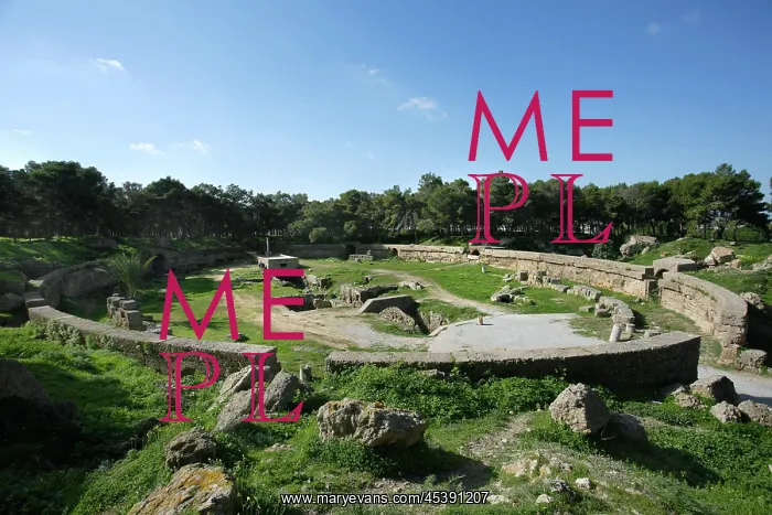 : Carthage. General view of the Roman Amphitheatre : Carthage. General view of the Roman Amphitheatre