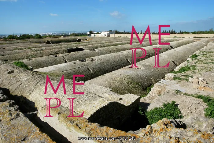 : Carthage. High angle view of the Roman cisterns : Carthage. High angle view of the Roman cisterns