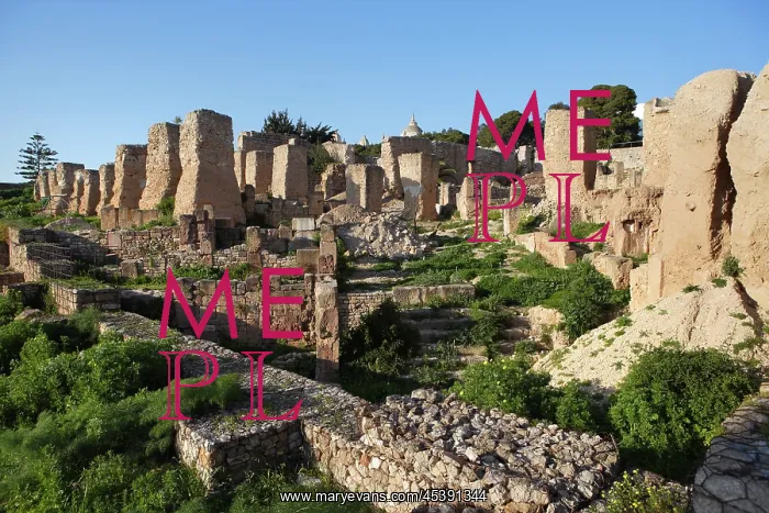 : Carthage. Low angle view of ruins of the Punic quarter on the southern slope of Byrsa Hill : Carthage. Low angle view of ruins of the Punic quarter on the southern slope of Byrsa Hill