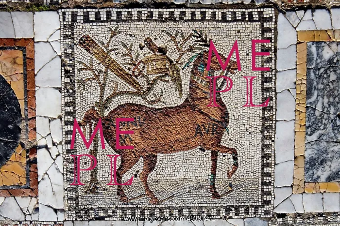 : Carthage. Detail of a mosaic depicting a horse in the peristyle of the : Carthage. Detail of a mosaic depicting a horse in the peristyle of the