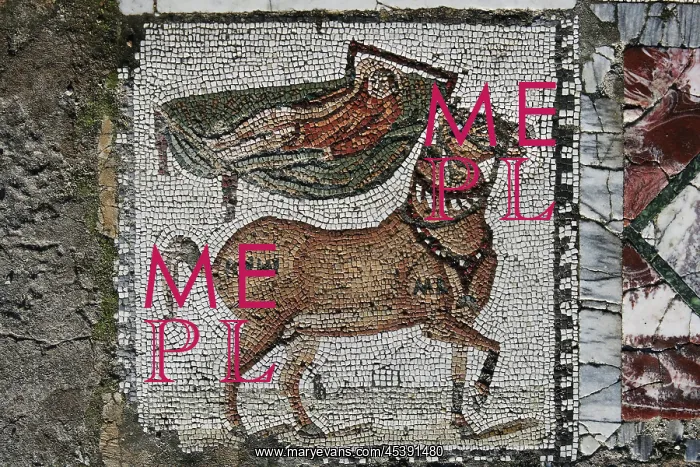 : Carthage. Detail of a mosaic of a horse and a man lying in a bed in the : Carthage. Detail of a mosaic of a horse and a man lying in a bed in the