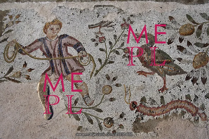 : Carthage. Detail of a mosaic depicting a boy and a duck with plants in : Carthage. Detail of a mosaic depicting a boy and a duck with plants in