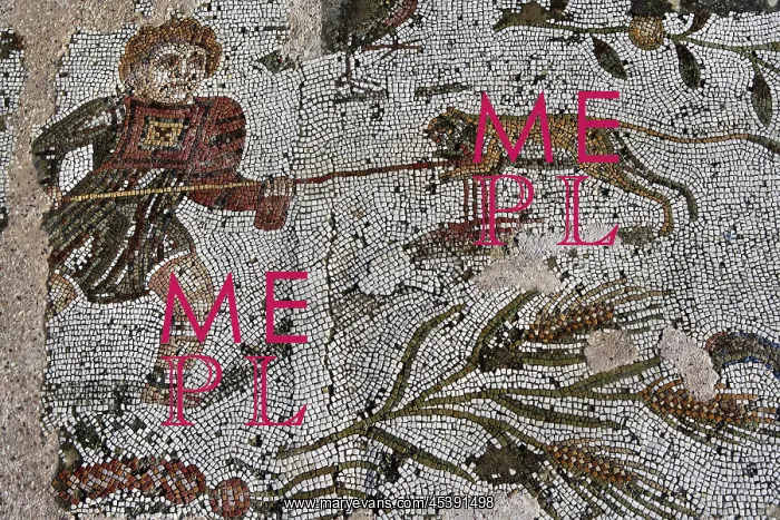 : Carthage. Detail of a mosaic of a boy playing with a monkey in the Villa of the Aviary : Carthage. Detail of a mosaic of a boy playing with a monkey in the Villa of the Aviary