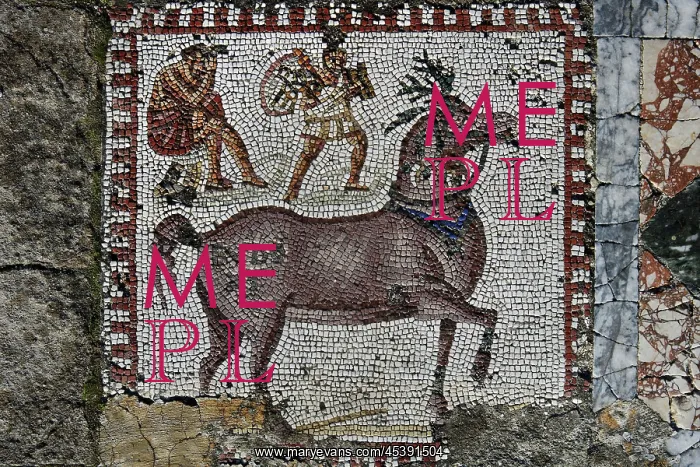 : Carthage. Detail of a mosaic of a horse and soldiers in the Villa of the Aviary : Carthage. Detail of a mosaic of a horse and soldiers in the Villa of the Aviary