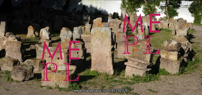 : Carthage. General view of the Tophet (children's graveyard) : Carthage. General view of the Tophet (children's graveyard)