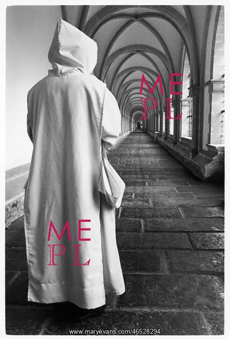 : Carthusian monk walks along a cloister : Carthusian monk walks along a cloister