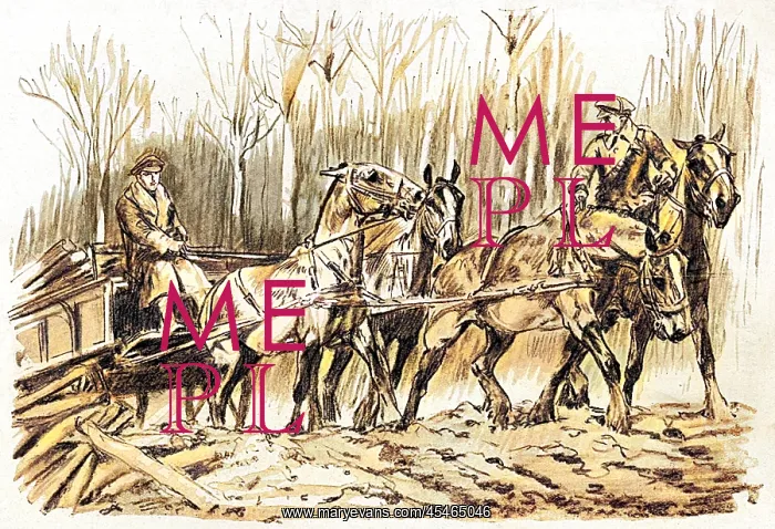 : Carting timber on the Western Front, WW1 : Carting timber on the Western Front, WW1
