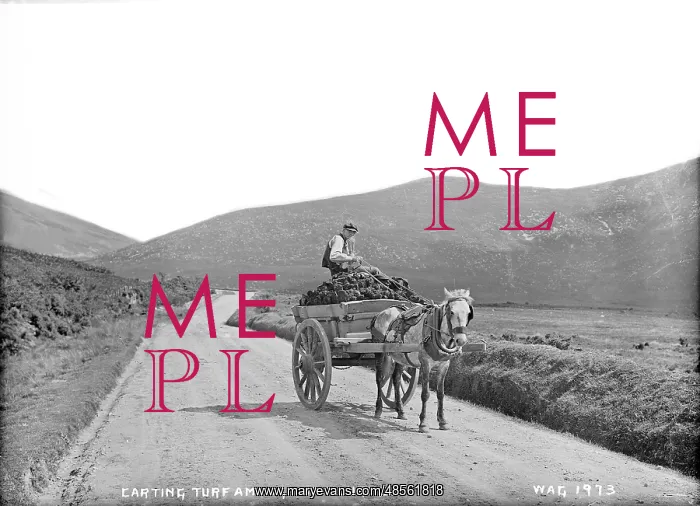 : Carting Turf Among the Mournes : Carting Turf Among the Mournes