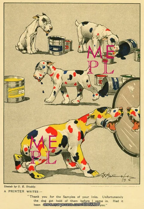 : Cartoon advert for Shuck Maclean and Co Ltd : Cartoon advert for Shuck Maclean and Co Ltd