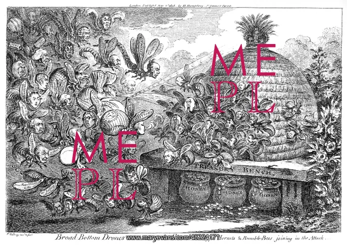 : Cartoon, Broad Bottom Drones storming the Hive : Cartoon, Broad Bottom Drones storming the Hive