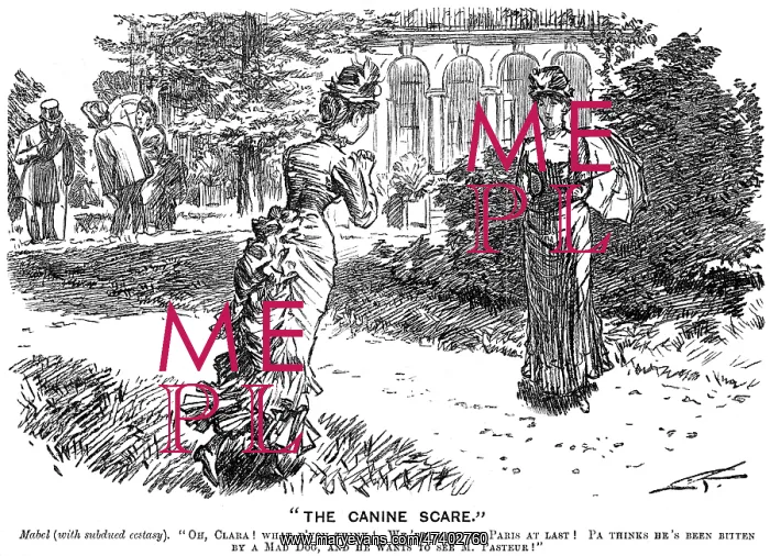 : Cartoon, The Canine Scare (Pasteur) : Cartoon, The Canine Scare (Pasteur)
