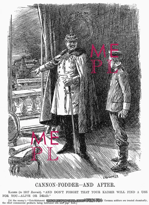 : Cartoon, Cannon-Fodder and After (Kaiser Wilhelm) : Cartoon, Cannon-Fodder and After (Kaiser Wilhelm)