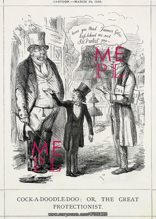: Cartoon, Cock-a-Doodle-Doo; or, The Great Protectionist : Cartoon, Cock-a-Doodle-Doo; or, The Great Protectionist