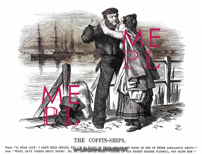 : Cartoon, The Coffin Ships 1873 : Cartoon, The Coffin Ships 1873