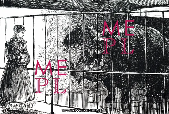 : A cartoon commenting on the arrival of a hippopotamus : A cartoon commenting on the arrival of a hippopotamus