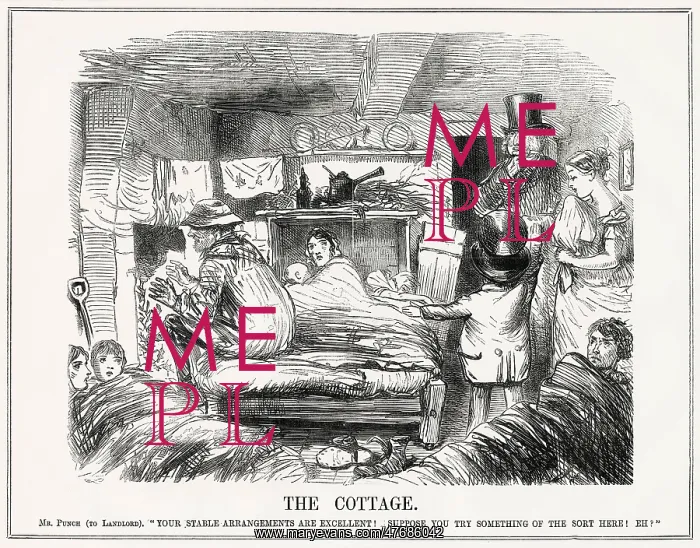 : Cartoon, The Cottage : Cartoon, The Cottage