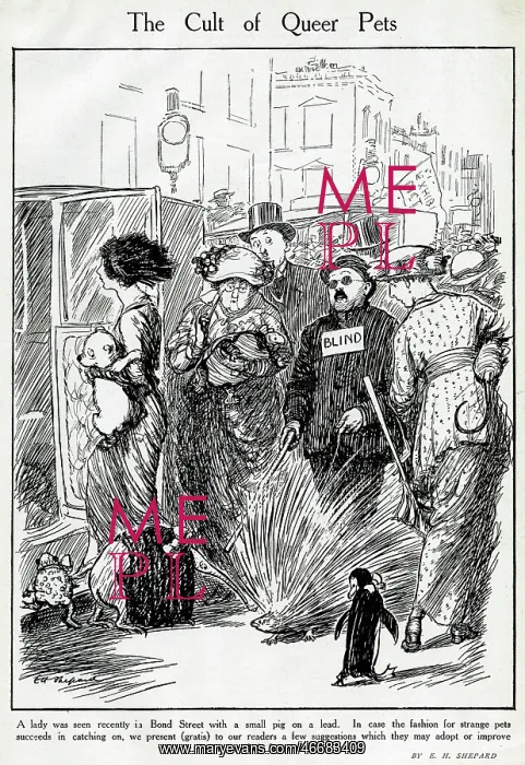 : Cartoon, The Cult of Queer Pets : Cartoon, The Cult of Queer Pets
