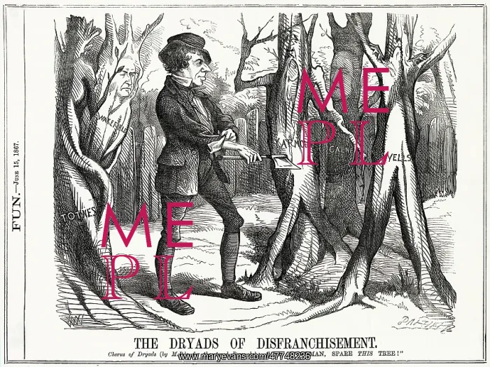 : Cartoon, The Dryads of Disfranchisement : Cartoon, The Dryads of Disfranchisement