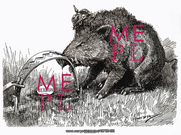 : Cartoon, German Boar held at Verdun, WW1 : Cartoon, German Boar held at Verdun, WW1