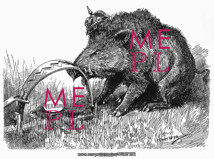 : Cartoon, German Boar held at Verdun, WW1 : Cartoon, German Boar held at Verdun, WW1