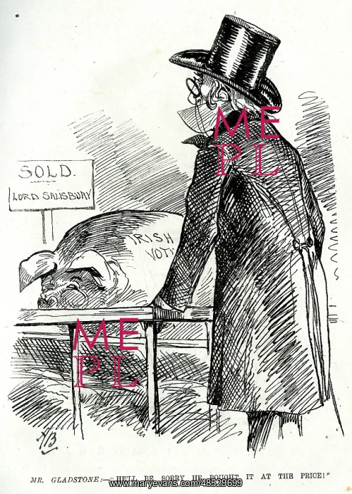 : Cartoon, Gladstone and the Irish Vote : Cartoon, Gladstone and the Irish Vote