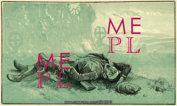  : Cartoon, The Irish Vampire 1869