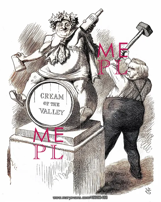 : Cartoon, John Bright and temperance : Cartoon, John Bright and temperance