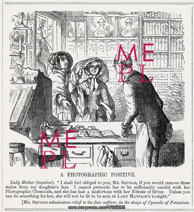 : Cartoon, A Photographic Positive : Cartoon, A Photographic Positive