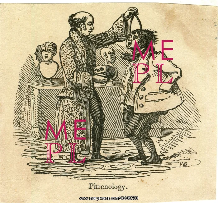 : Cartoon, Phrenology : Cartoon, Phrenology