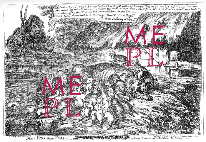 : Cartoon, More Pigs than Teats : Cartoon, More Pigs than Teats