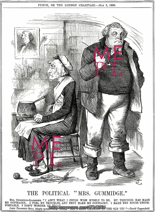 : Cartoon, The Political Mrs Gummidge : Cartoon, The Political Mrs Gummidge