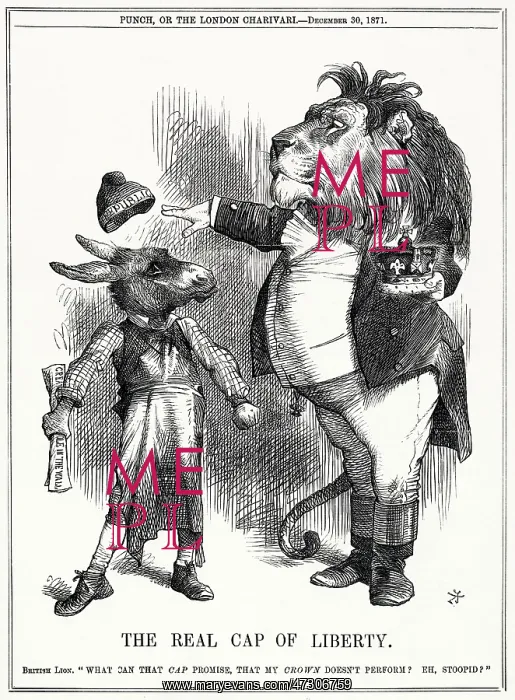 : Cartoon, The Real Cap of Liberty : Cartoon, The Real Cap of Liberty