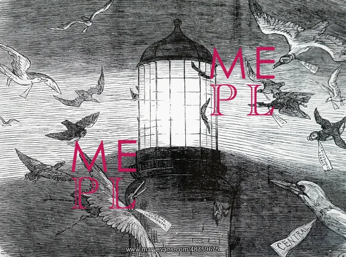  : Cartoon titled Bird Migration