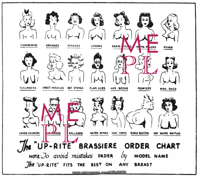 : Cartoon, The Up-Rite Brassiere Order Chart : Cartoon, The Up-Rite Brassiere Order Chart