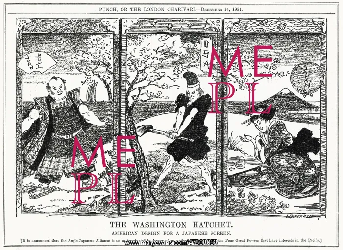  : Cartoon, The Washington Hatchet