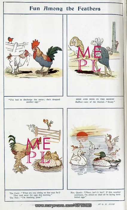 : Cartoons in colour by G H Dodd, Fun Among Feathers : Cartoons in colour by G H Dodd, Fun Among Feathers