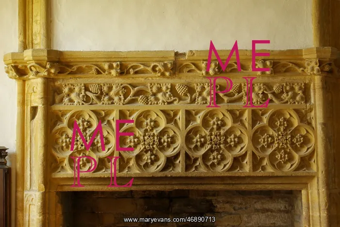: Carved fireplace, Muchelney Abbey, Muchelney, Somerset : Carved fireplace, Muchelney Abbey, Muchelney, Somerset