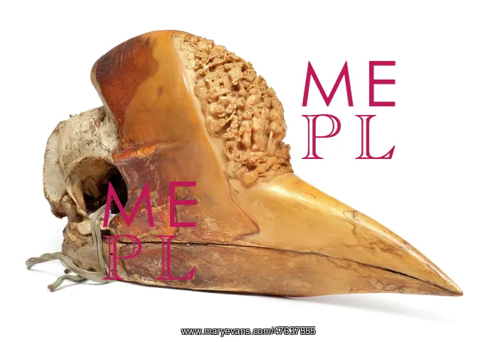 : Carved Hornbill Skull : Carved Hornbill Skull