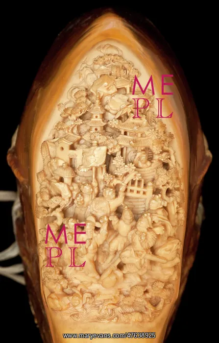 : Carved Hornbill Skull : Carved Hornbill Skull