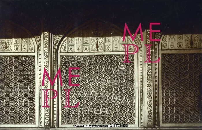 : Carved tracery in a Mosque : Carved tracery in a Mosque