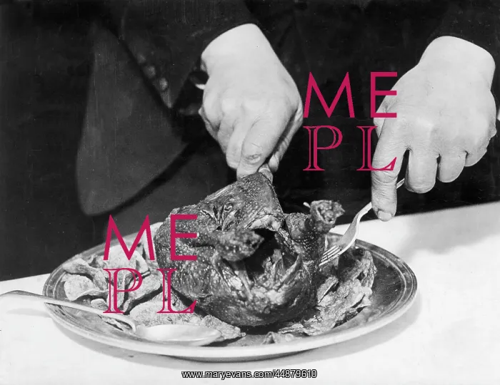  : CARVING A TURKEY