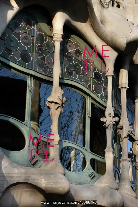 : Casa Batllo : Casa Batllo