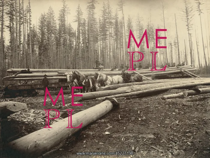 : In the Cascade Mountains near Seattle, Washington, ? : In the Cascade Mountains near Seattle, Washington, ?