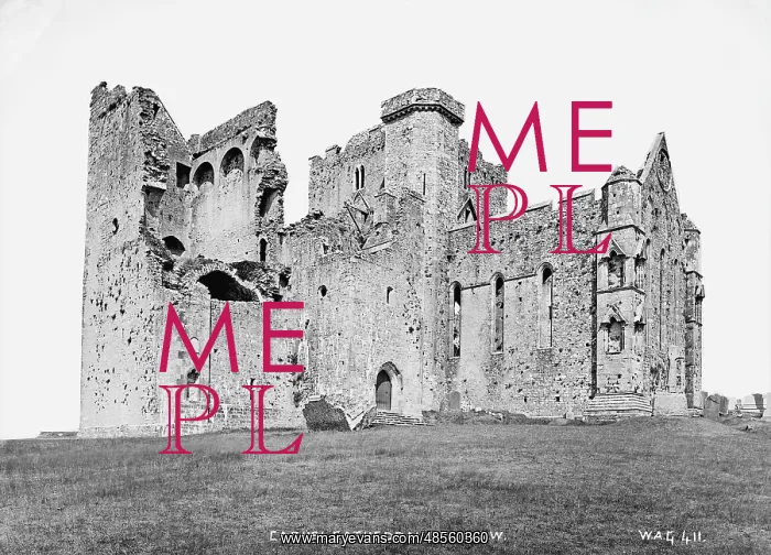 : Cashel Cathedral from Sw : Cashel Cathedral from Sw
