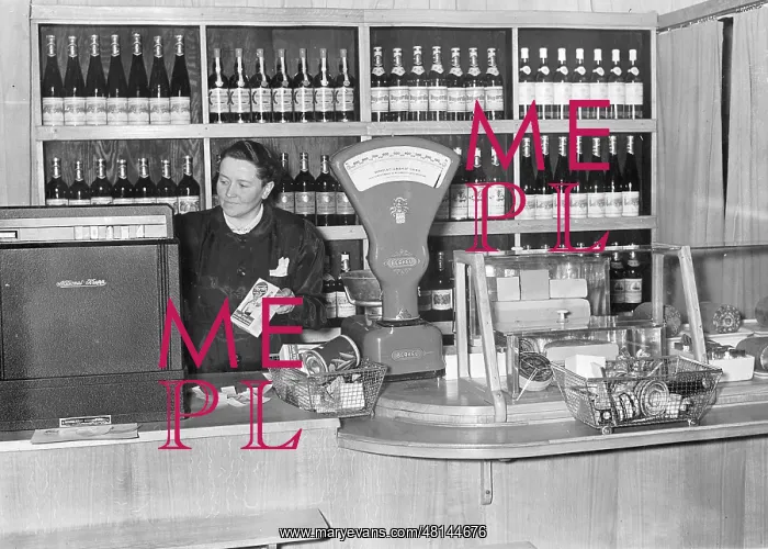 : Cashier in a grocery store, 1942 : Cashier in a grocery store, 1942