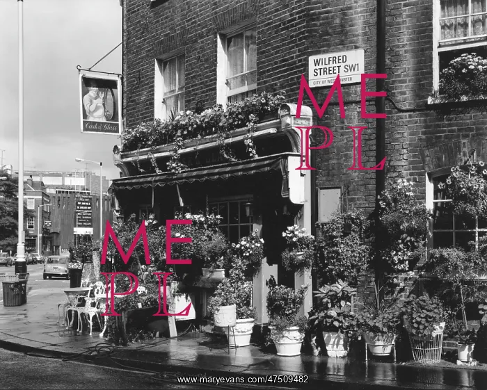 : THE CASK AND GLASS PUB : THE CASK AND GLASS PUB